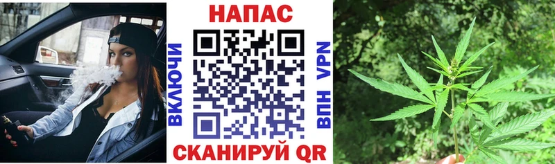 продажа наркотиков  Шлиссельбург  Каннабис индика 